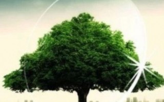 镜片怎么分别好坏，镜片怎么分别好坏图片